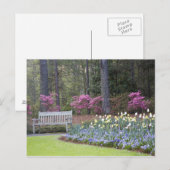 VS, Georgië, Pine Mountain. Een grens van Briefkaart (Voorkant / Achterkant)