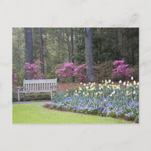 VS, Georgië, Pine Mountain. Een grens van Briefkaart (Voorkant)