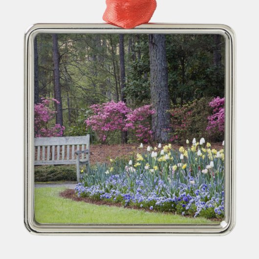 VS, Georgië, Pine Mountain. Een grens van Metalen Ornament (Voorkant)