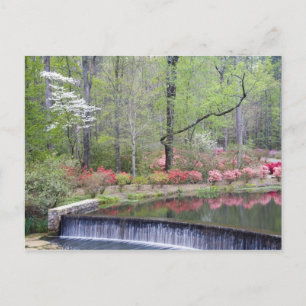 VS, Georgië, Pine Mountain. Een kleine waterval Briefkaart