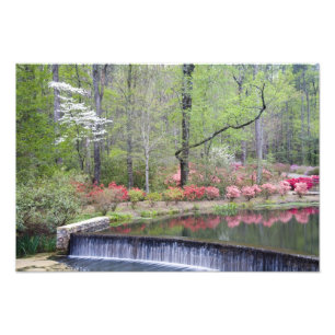 VS, Georgië, Pine Mountain. Een kleine waterval Foto Afdruk