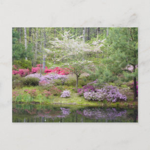 VS, Georgië, Pine Mountain. Een mengsel van Briefkaart