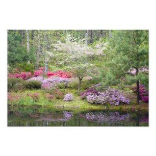 VS, Georgië, Pine Mountain. Een mengsel van Foto Afdruk