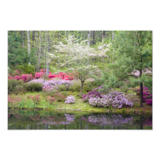 VS, Georgië, Pine Mountain. Een mengsel van Foto Afdruk (Voorkant)