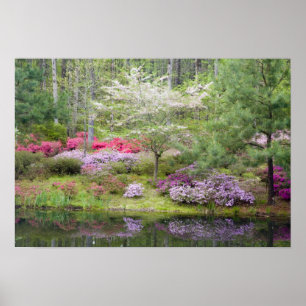 VS, Georgië, Pine Mountain. Een mengsel van Poster