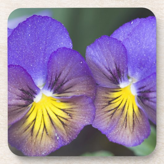 VS, Georgië, Pine Mountain. Een opeenstapeling van Bier Onderzetter (Voorkant)