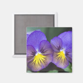 VS, Georgië, Pine Mountain. Een opeenstapeling van Magneet (Voorkant / Achterkant)