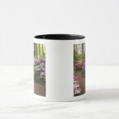 VS, Georgië, Pine Mountain. Een traject door Mok (Midden)