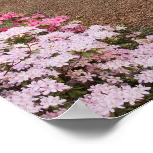 VS, Georgië, Pine Mountain. Een traject door Poster (Hoek)