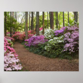 VS, Georgië, Pine Mountain. Een traject door Poster (Voorkant)