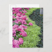 VS, Georgië, Pine Mountain. Een voorlentekens Briefkaart (Voorkant / Achterkant)