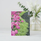 VS, Georgië, Pine Mountain. Een voorlentekens Briefkaart (Staand voorkant)