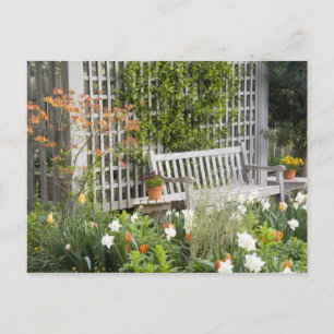 VS, Georgië, Pine Mountain. Voorzitter Briefkaart