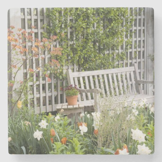 VS, Georgië, Pine Mountain. Voorzitter Stenen Onderzetter (Voorkant)