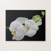 VS, Georgië, Savannah, cluster van orchideeën Legpuzzel (Horizontaal)