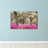 VS, Georgië, Savannah, lente in het verleden Canvas Afdruk (Insitu (Houten vloer))