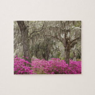 VS, Georgië, Savannah, lente in het verleden Legpuzzel