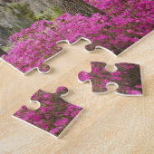 VS, Georgië, Savannah, lente in het verleden Legpuzzel (Zijkant)