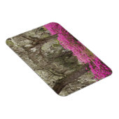 VS, Georgië, Savannah, lente in het verleden Magneet (Rechterzijde)