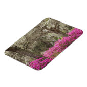 VS, Georgië, Savannah, lente in het verleden Magneet (Linkerzijde)