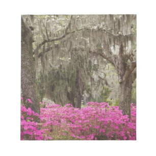 VS, Georgië, Savannah, lente in het verleden Notitieblok