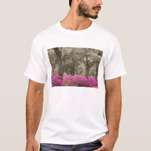 VS, Georgië, Savannah, lente in het verleden T-shirt