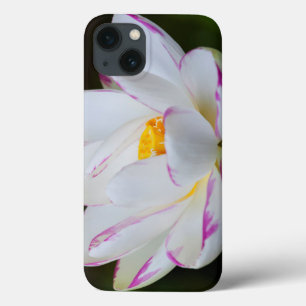 VS, Georgië, Savannah, Lootus Flower Blooming Case-Mate iPhone Case