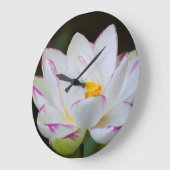 VS, Georgië, Savannah, Lootus Flower Blooming Grote Klok (Hoek)