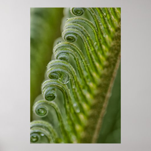 VS, Georgië, Savannah, sluiting van nieuwe grenzen Poster (Voorkant)