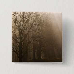 VS Great Smoky Mountain NP Tennessee bomen in Vierkante Button 5,1 Cm