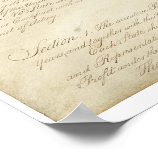 VS. Grondwet Pagina 2 Poster (Hoek)