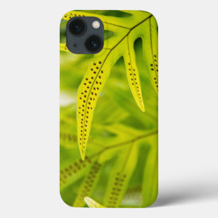 VS, Hawaï, Big Island. Tropisch groene varen Case-Mate iPhone Case