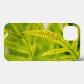VS, Hawaï, Big Island. Tropisch groene varen Case-Mate iPhone Case (Achterkant (horizontaal))