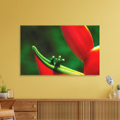 VS, Hawaï, Hilo. Heliconia Canvas Afdruk (Insitu (Woonkamer))