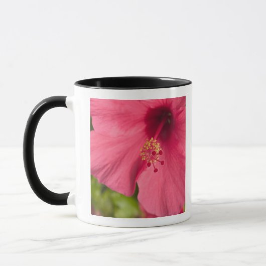 VS, Hawaï, Kauai, Hibiscus Mok (Links)