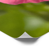 VS, Hawaï, Kauai, Hibiscus Poster (Hoek)