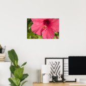 VS, Hawaï, Kauai, Hibiscus Poster (Thuiskantoor)