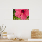 VS, Hawaï, Kauai, Hibiscus Poster (Keuken)