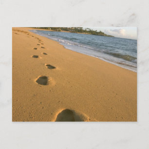 VS, Hawaï, Kauai, Kapa'a, aan het strand. Briefkaart
