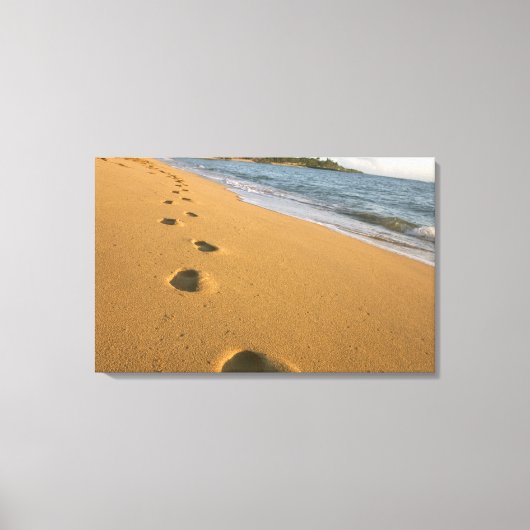 VS, Hawaï, Kauai, Kapa'a, aan het strand. Canvas Afdruk (Voorkant)