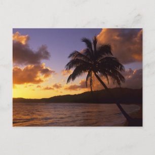 VS, Hawaï, Kauai, Kleurrijke zonsopgang in een 2 Briefkaart