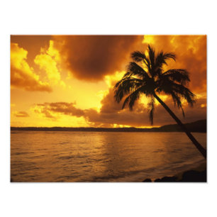 VS, Hawaï, Kauai, Kleurrijke zonsopgang in een Foto Afdruk