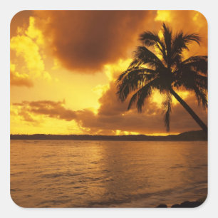 VS, Hawaï, Kauai, Kleurrijke zonsopgang in een Vierkante Sticker
