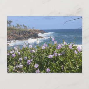 VS, Hawaï, Kauai, nabij Kapaa, noordwest Briefkaart