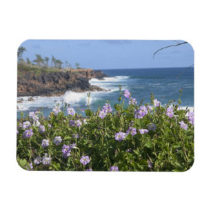 VS, Hawaï, Kauai, nabij Kapaa, noordwest Magneet