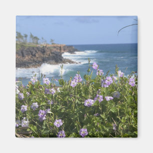 VS, Hawaï, Kauai, nabij Kapaa, noordwest Magneet