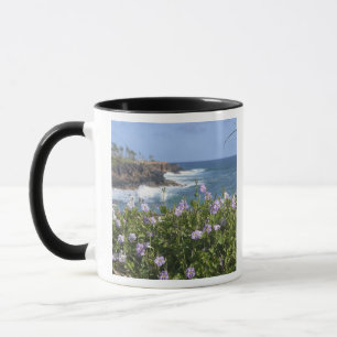VS, Hawaï, Kauai, nabij Kapaa, noordwest Mok
