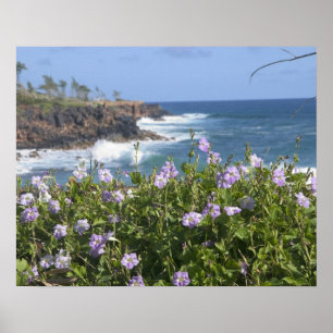 VS, Hawaï, Kauai, nabij Kapaa, noordwest Poster
