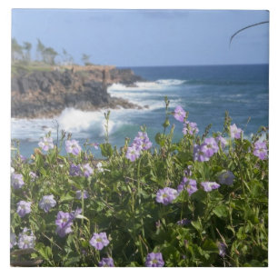 VS, Hawaï, Kauai, nabij Kapaa, noordwest Tegeltje
