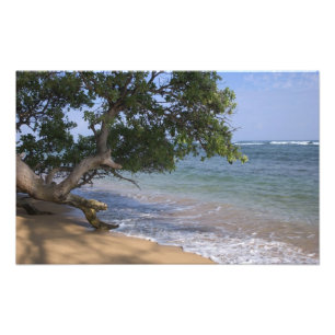VS, Hawaï, Kauai, strand landschap. RF) Foto Afdruk